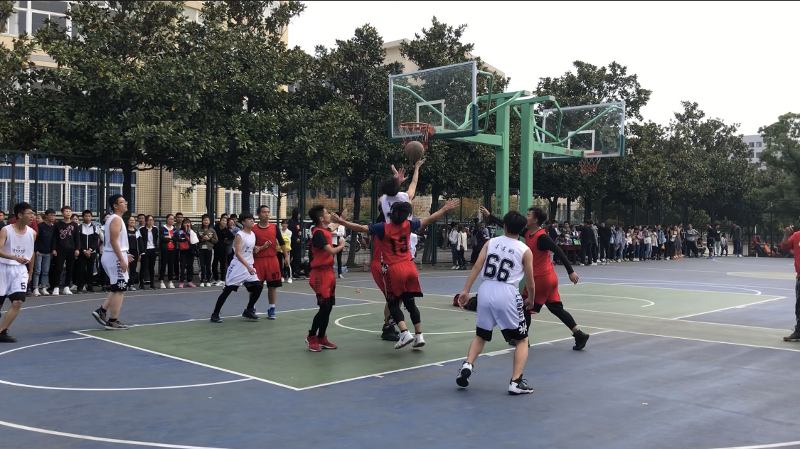 图片1.png 图片1.png